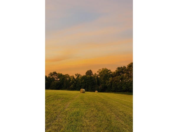 2111 Foster Drive, Willisburg, KY 40078