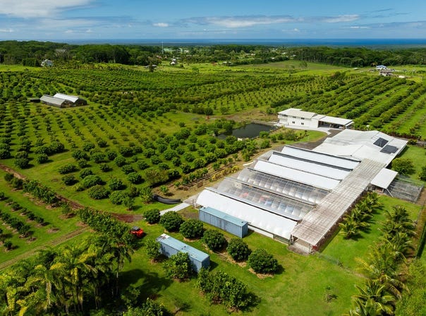 17-4150 HUINA RD, Kurtistown, HI 96760