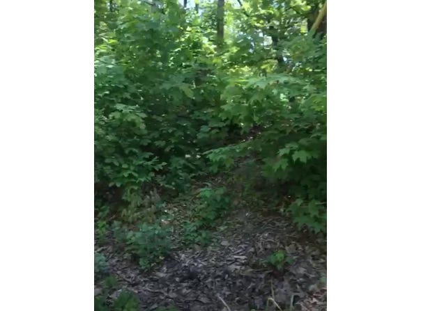 190 BROOK Trail, Greenwood Lake, New York 10990, Warwick, NY 10990