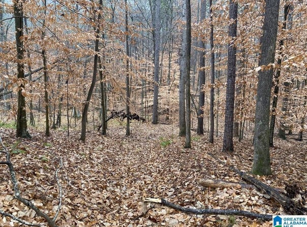 6809 HIGHWAY 11, PELHAM, AL 35124