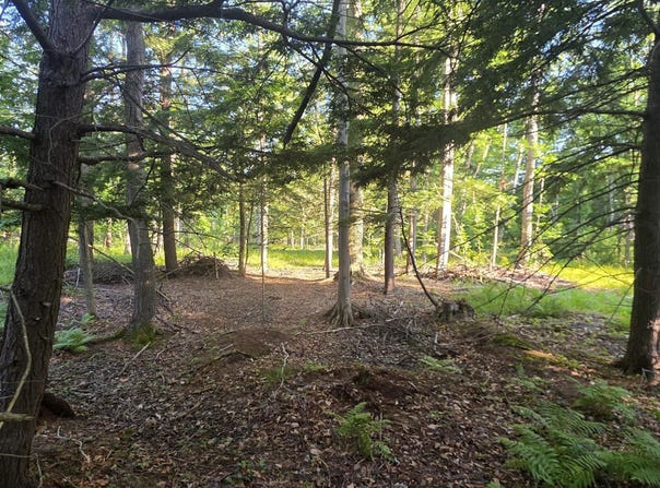 10 acres E Free Soil Road, Free Soil, MI 49411