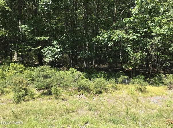 1301 Dewberry Drive, Hawley, PA 18428