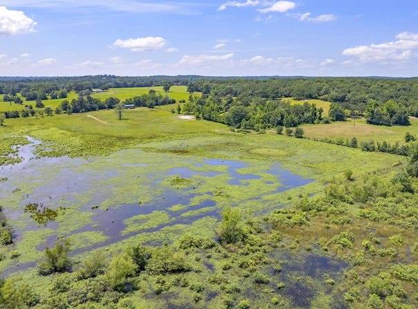 12250 CR 3513, Brownsboro, TX 75756