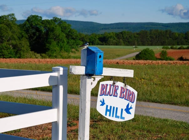 696 Mapleton Drive, Callands, VA 24530
