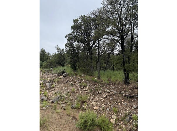 Subd:Bella Vista Lot:FBlock:45, Edgewood, NM 87015