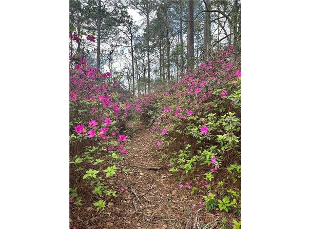0 Abilene Drive W, Mobile, AL 36695