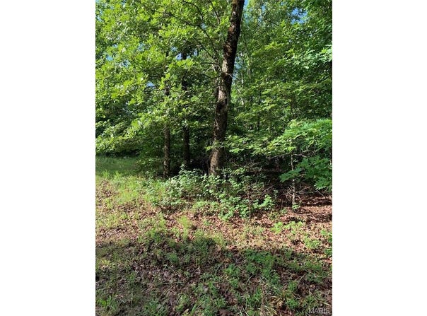 0 Highway 160W-13, Doniphan, MO 63935