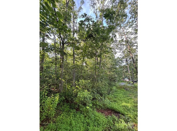 9999 Oak Ridge Road, Hendersonville, NC 28792