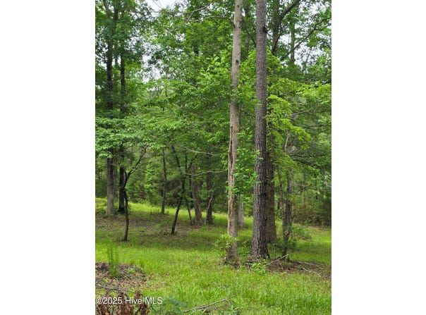 206 Yellow Fin Court, Sneads Ferry, NC 28460