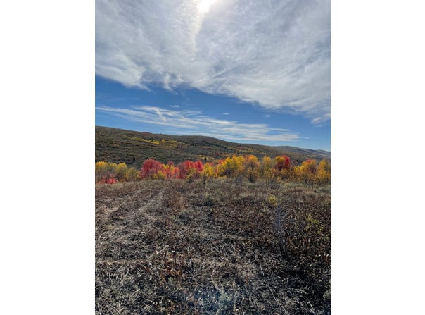 Montpelier, ID 83254