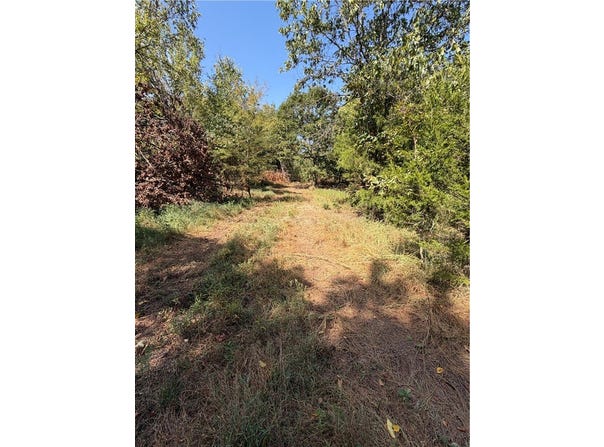 N Hwy 244, Summers, AR 72769