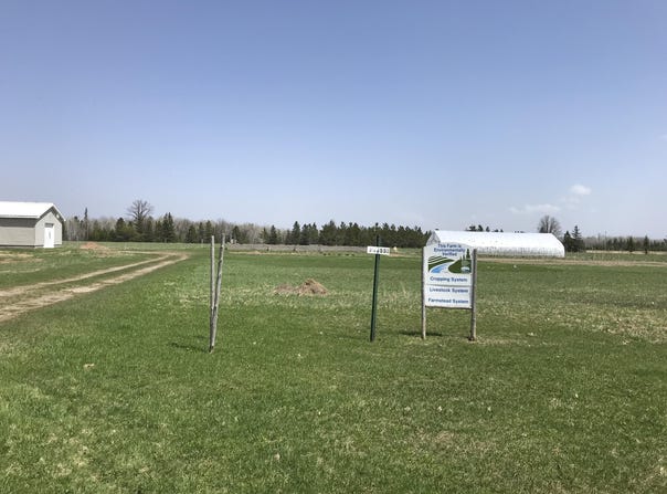 21955 S Steinbeck RD, Rudyard, MI 49780