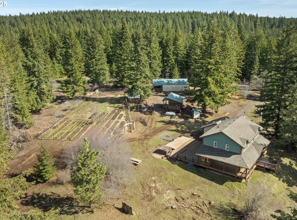 20 SILVA CUTOFF RD, Lyle, WA 98635