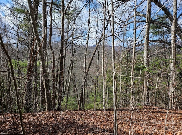 Wispy Willow Drive unit: 24T, Waynesville, NC 28785