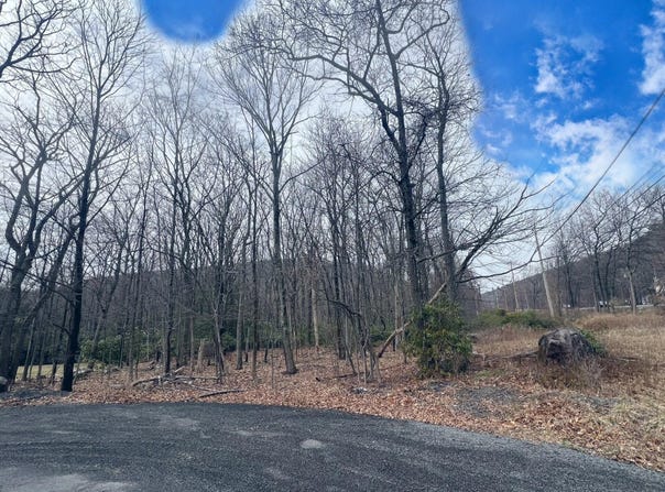 Lot 253 Service Road, Effort, PA 18330