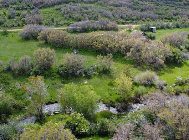 7900 County Road 41, Hamilton, CO 81638