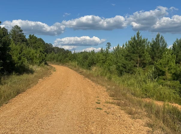 County Rd 81 & County Rd 83, Mccarley, MS 38943