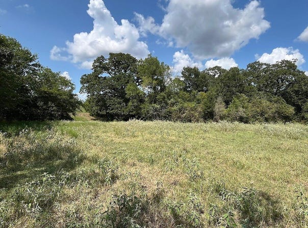 TBD County Road 227, Caldwell, TX 77836