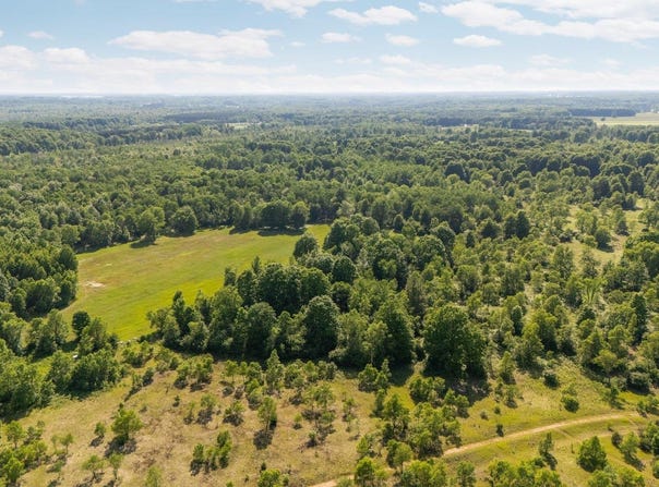 Parcels A-D Sands Road, Kingsley, MI 49649