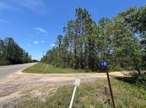 3974 NW Joy Lane, Altha, FL 32421