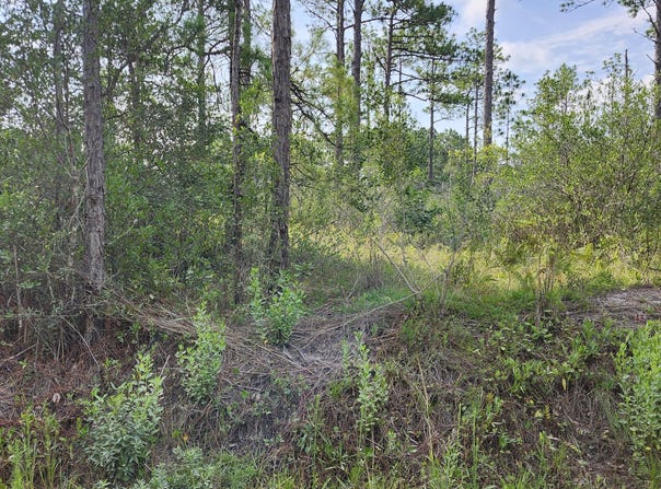 Queens Road lot: 452, Southport, NC 28461
