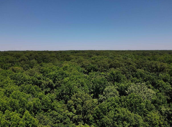 La Grange, AR 72352