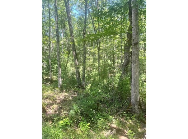 Sunshine Lane, WHITE OAK, WV 25989
