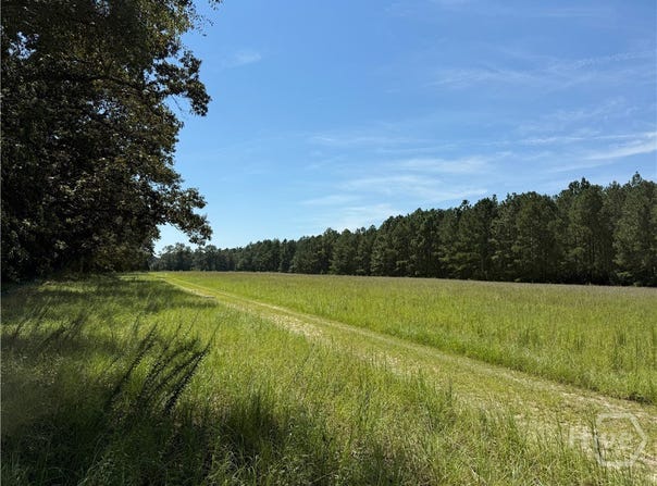 Sunbury Road, Claxton, GA 30417