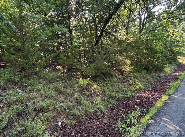 Tbd Storm Cove Drive, Linn Creek, MO 65052