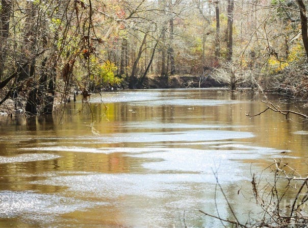 Tillman Eason Road, Claxton, GA 30417