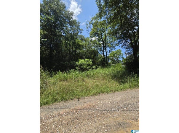 39 THOMAS ROAD, CORDOVA, AL 35550