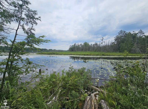Spile Dam, Millersburg, MI 49759