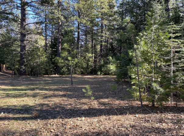 Emigrant Trail, Shingletown, CA 96088