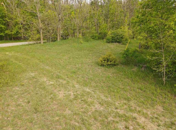3208 PLEASANT VALLEY, BOYNE CITY, MI 49712