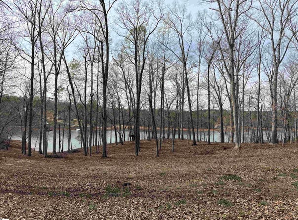 133 Falling Leaf Drive, Townville, SC 29689