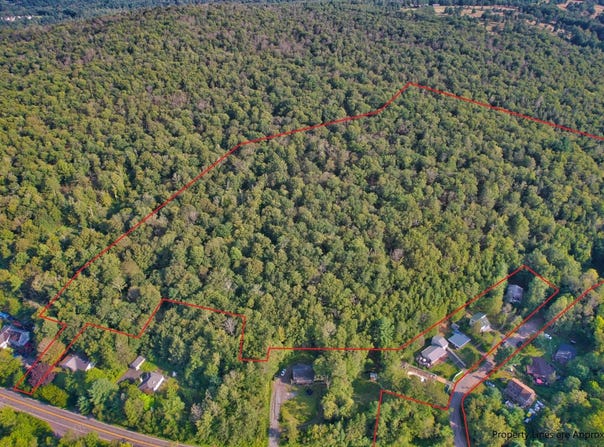 39 Birch Ln, Swan Lake, NY 12783
