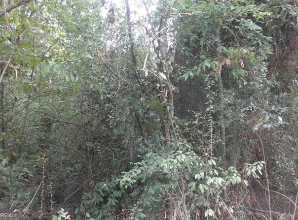 0 Waters, Monticello, GA 31064