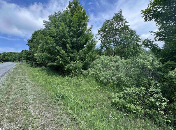Lots 33 S Ski View Circle, Cedar, MI 49621