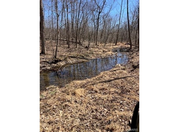 161 Madison CR 410, Fredericktown, MO 63645
