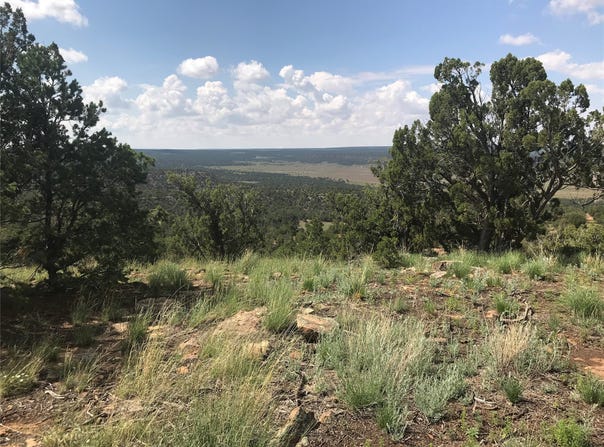 Glorieta Mesa, Ilfeld, NM 87535
