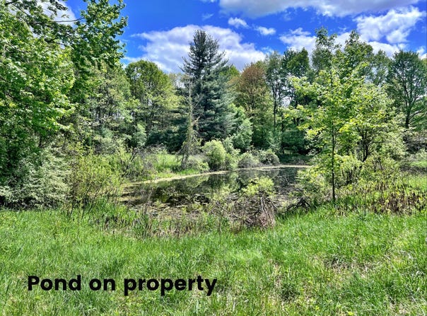 10701 Elizabeth Road, Greenville, MI 48838