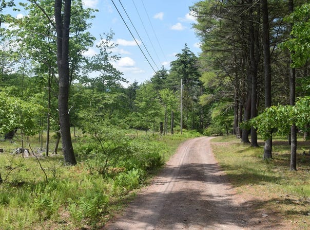 TBD Anthony Drive, Cairo, NY 12058