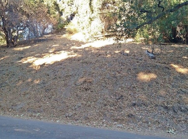 12300 SPRING Trl, Sylmar, CA 91342