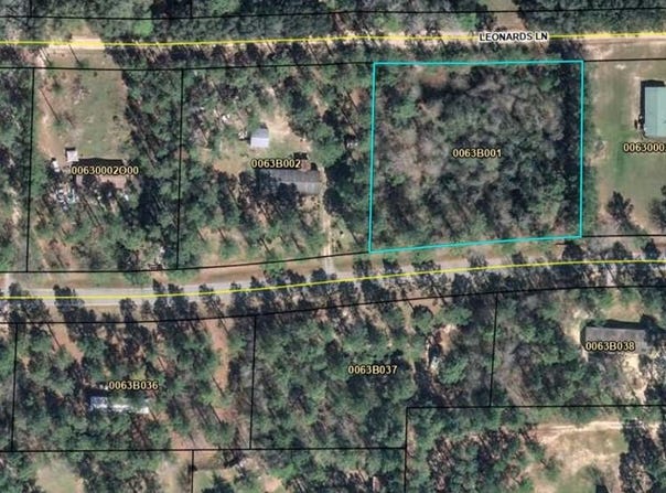 Dow Jones Road lot: 1, Bainbridge, GA 39817