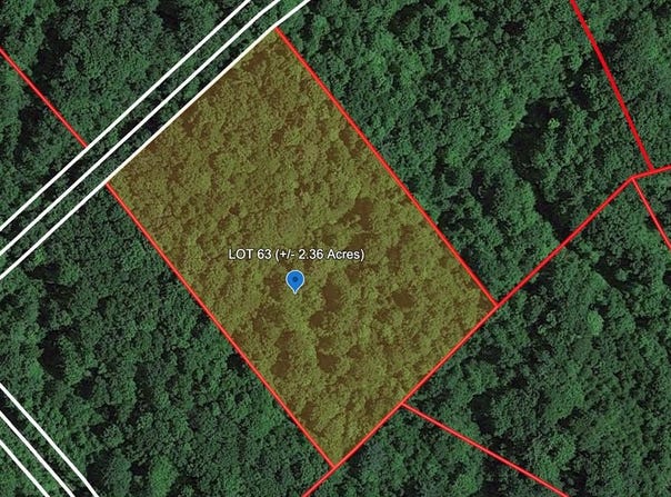122 GERBER DAISY TRAIL, BRAGG, WV 25918