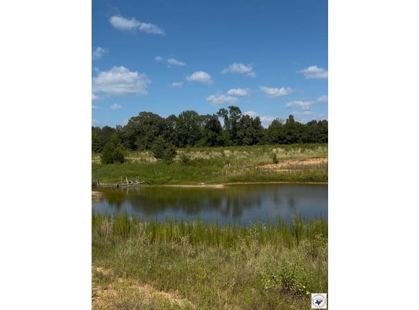 243 CR 2513, Naples, TX 75568