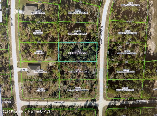 Honeycreeper Road, Brooksville, FL 34614