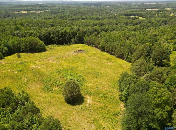 525 Overlook Road, Blountsville, AL 35031