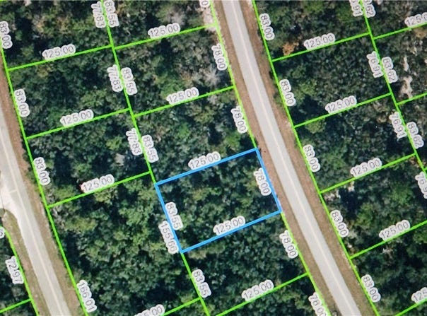 121 Fillmore Avenue NE, Lake Placid, FL 33852