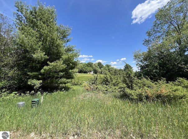 Talon Trace, Bellaire, MI 49615